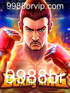 Descubra o Mundo Fascinante de BoxingKing